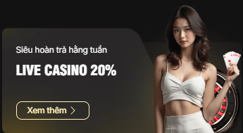 Live casino